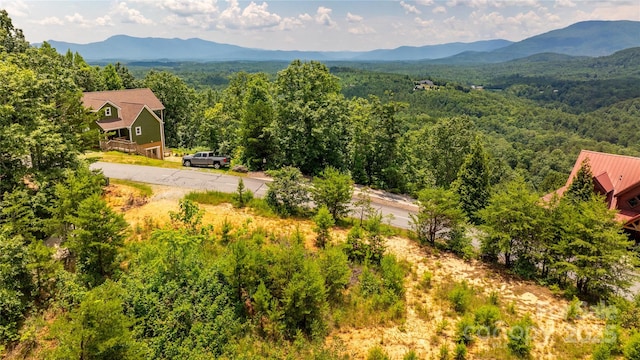 240 Boulder Rdg, Lake Lure, NC 28746 - photo 18