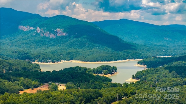 240 Boulder Rdg, Lake Lure, NC 28746 - photo 19