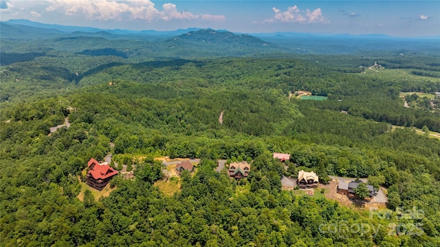 240 Boulder Rdg, Lake Lure, NC 28746 - photo 21