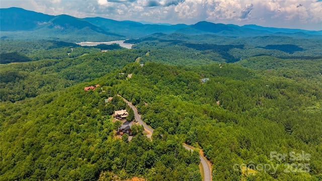240 Boulder Rdg, Lake Lure, NC 28746 - photo 22