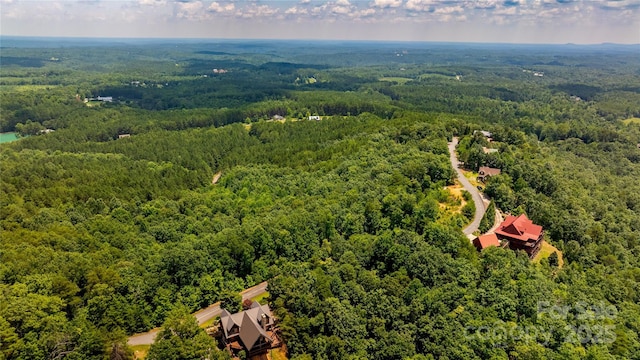 240 Boulder Rdg, Lake Lure, NC 28746 - photo 24