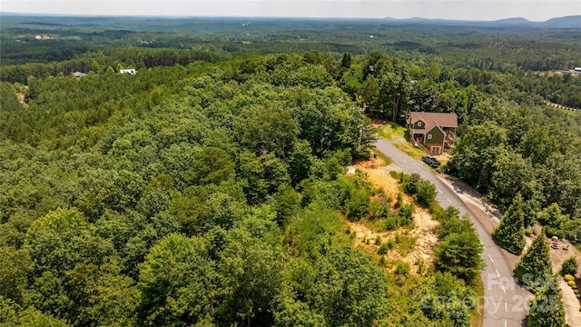 240 Boulder Rdg, Lake Lure, NC 28746 - photo 25