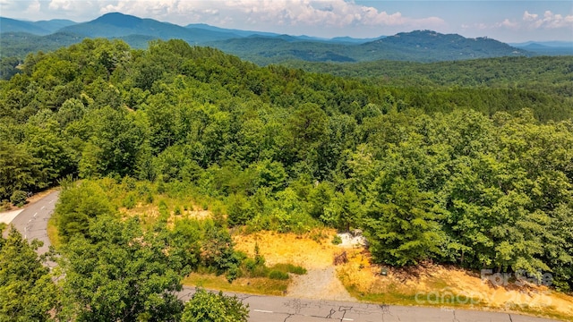 240 Boulder Rdg, Lake Lure, NC 28746 - photo 26