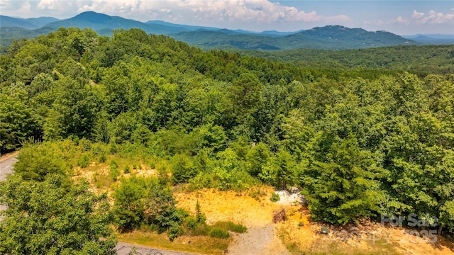 240 Boulder Rdg, Lake Lure, NC 28746 - photo 27