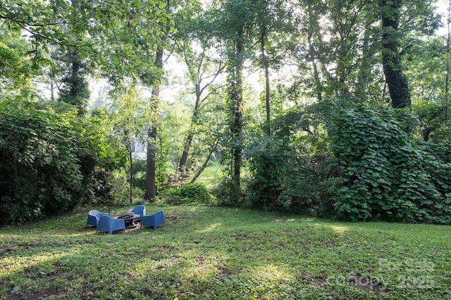 9 Linden Ave, Asheville, NC 28801 - photo 31
