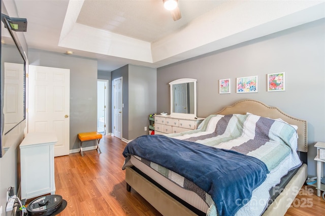 1274 Winding Path Rd, Clover, SC 29710 - bedroom featuring a raised ceiling and light wood-type flooring