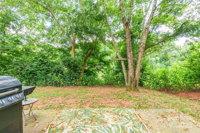 1274 Winding Path Rd, Clover, SC 29710 - view of yard featuring a patio