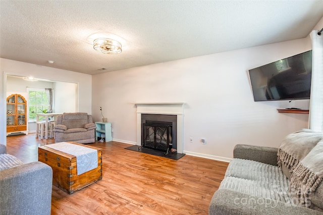 1274 Winding Path Rd, Clover, SC 29710 - living room featuring wood finished floors, a textured ceiling, and a fireplace with raised hearth