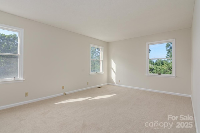 1045 Carousel Ln, Hendersonville, NC 28792 - photo 15