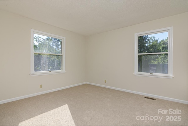 1045 Carousel Ln, Hendersonville, NC 28792 - photo 18