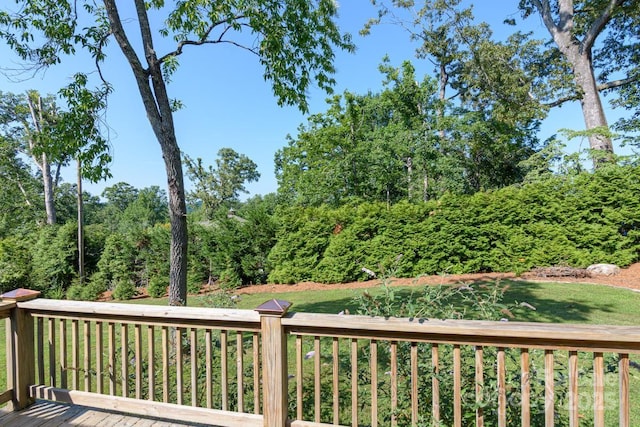 1045 Carousel Ln, Hendersonville, NC 28792 - photo 27