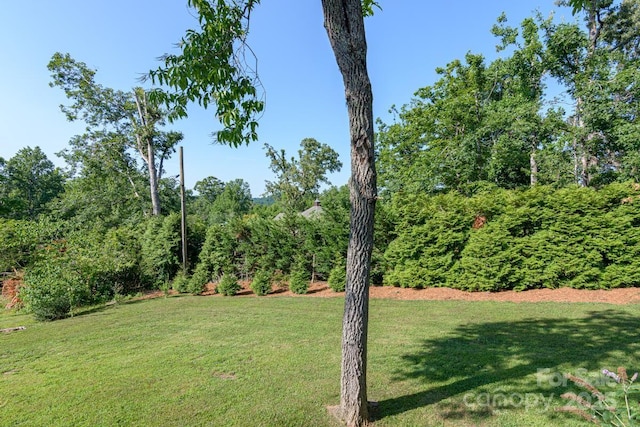 1045 Carousel Ln, Hendersonville, NC 28792 - photo 28
