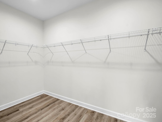 174 Charlie Randall Rd, Lawndale, NC 28090 - walk in closet with light wood-style floors