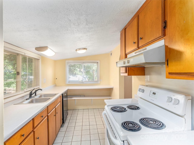 20 Spring Dr, Asheville, NC 28806 - photo 12