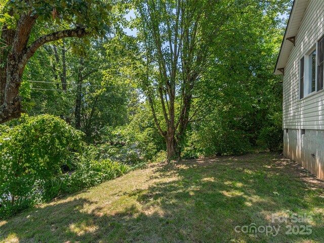 20 Spring Dr, Asheville, NC 28806 - photo 22