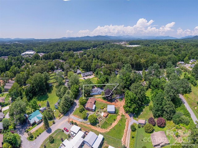 20 Spring Dr, Asheville, NC 28806 - photo 25