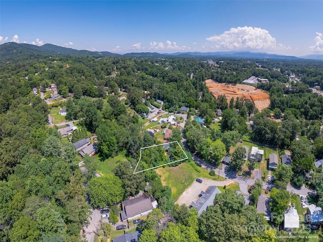 20 Spring Dr, Asheville, NC 28806 - photo 26
