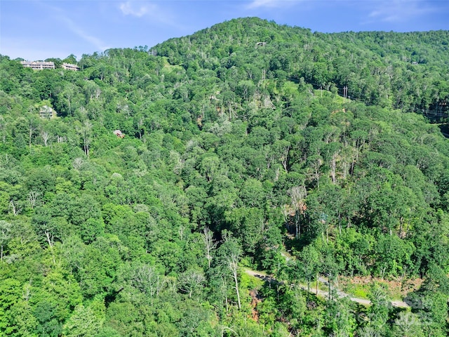 0 Chestnut Ln Lot 84, Mars Hill, NC 28754