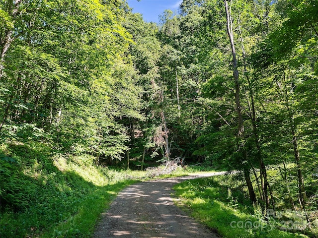 0 Chestnut Ln Lot 84, Mars Hill, NC 28754
