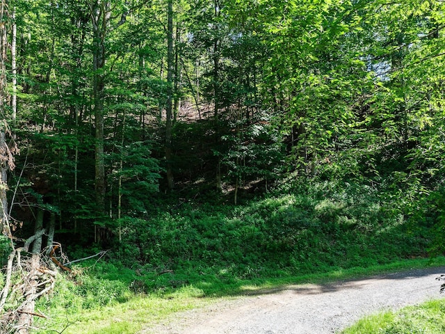 0 Chestnut Ln Lot 84, Mars Hill, NC 28754