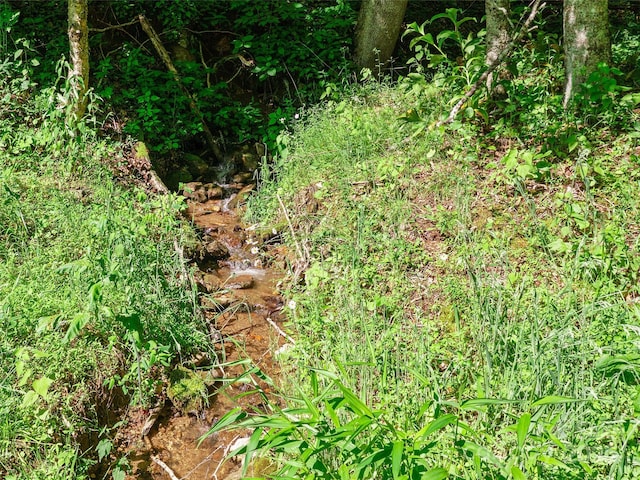 0 Chestnut Ln Lot 84, Mars Hill, NC 28754