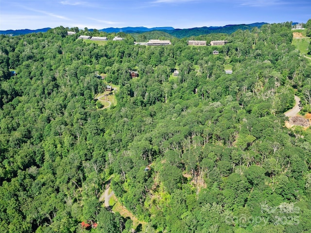 0 Chestnut Ln Lot 84, Mars Hill, NC 28754