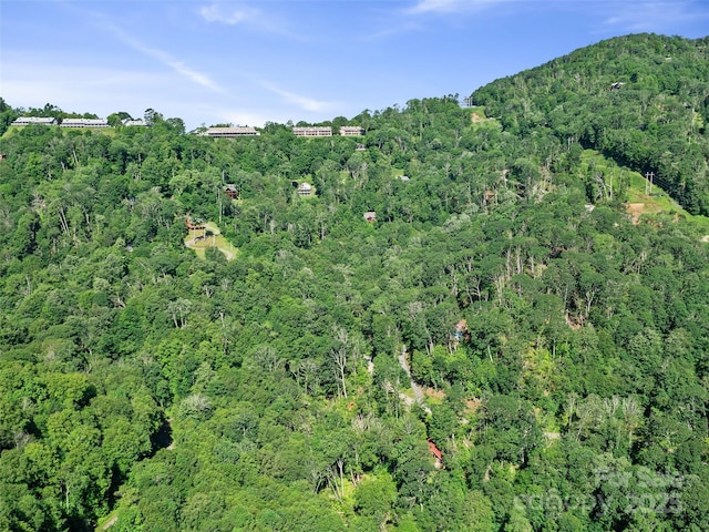 0 Chestnut Ln Lot 84, Mars Hill, NC 28754