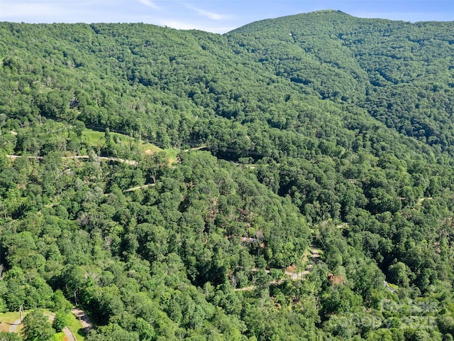 0 Chestnut Ln Lot 84, Mars Hill, NC 28754