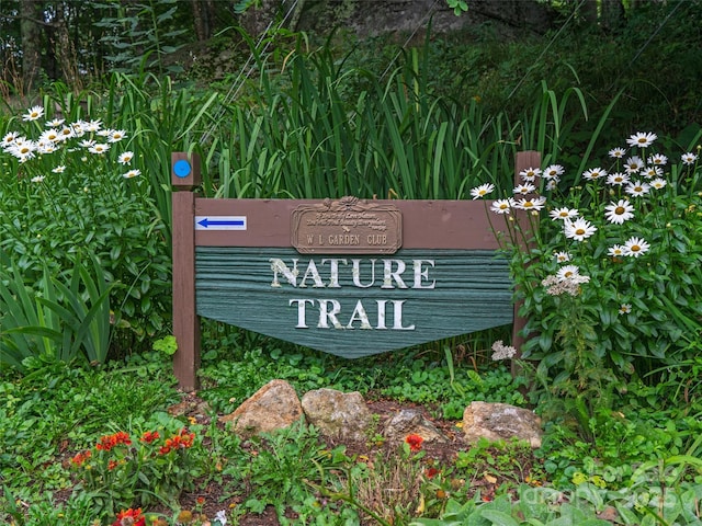 0 Chestnut Ln Lot 84, Mars Hill, NC 28754