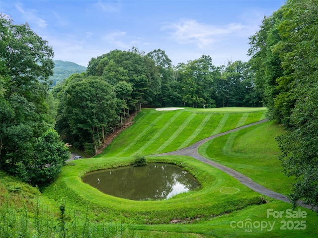 0 Chestnut Ln Lot 84, Mars Hill, NC 28754