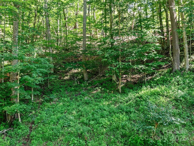 0 Chestnut Ln Lot 84, Mars Hill, NC 28754