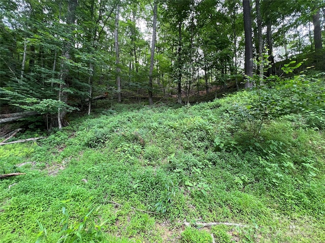 0 Chestnut Ln Lot 84, Mars Hill, NC 28754
