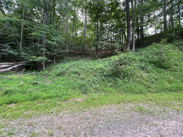 0 Chestnut Ln Lot 84, Mars Hill, NC 28754