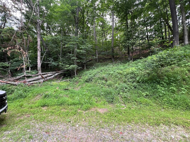 0 Chestnut Ln Lot 84, Mars Hill, NC 28754