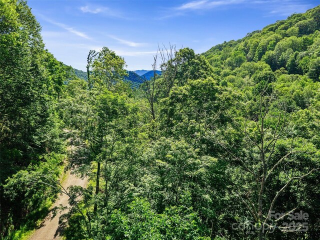 0 Chestnut Ln Lot 84, Mars Hill, NC 28754