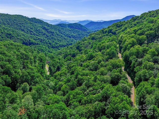 0 Chestnut Ln Lot 84, Mars Hill, NC 28754