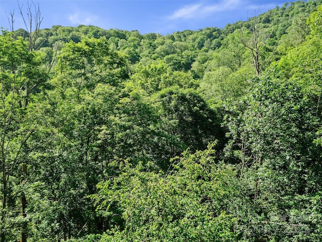 0 Chestnut Ln Lot 84, Mars Hill, NC 28754
