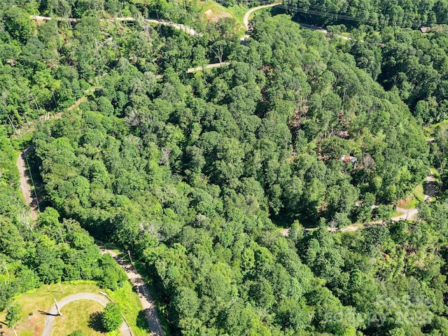 0 Chestnut Ln Lot 84, Mars Hill, NC 28754
