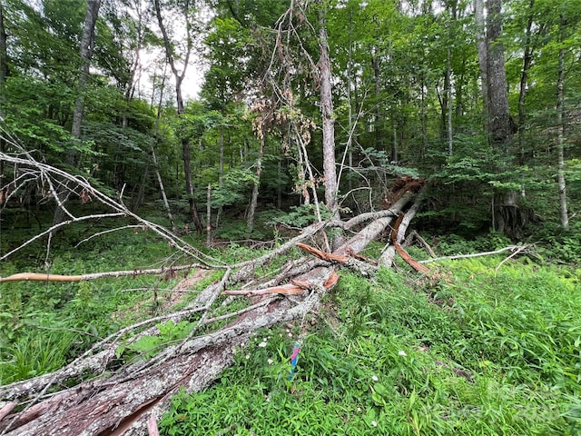 0 Chestnut Ln Lot 84, Mars Hill, NC 28754