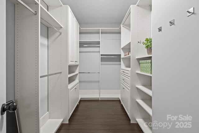 8225 Ballymore Ct, Huntersville, NC 28078 - spacious closet with dark wood-style floors