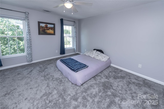 2085 Chapel Creek Rd SW, Concord, NC 28025 - bedroom featuring a textured ceiling, multiple windows, carpet floors, and ceiling fan