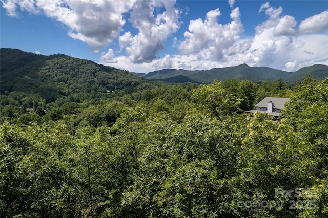 288 Blue Cedar Rd Unit 9, Sylva, NC 28779 - photo 37