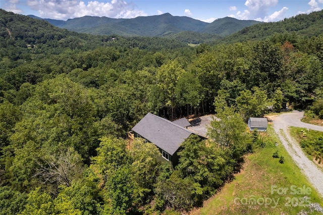 288 Blue Cedar Rd Unit 9, Sylva, NC 28779 - photo 38