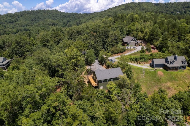 288 Blue Cedar Rd Unit 9, Sylva, NC 28779 - photo 39