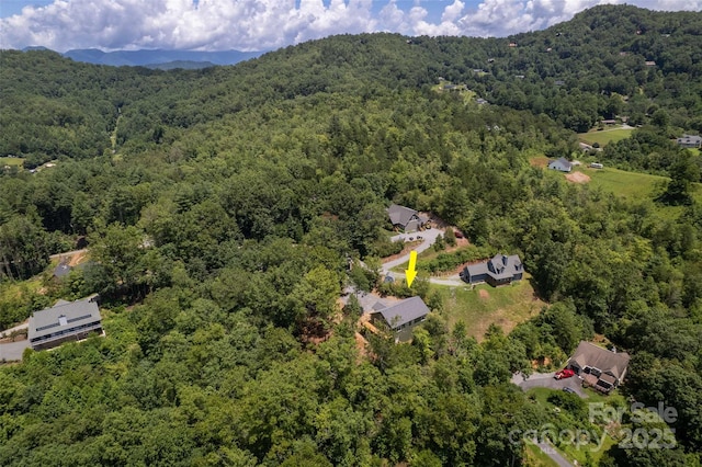 288 Blue Cedar Rd Unit 9, Sylva, NC 28779 - photo 40