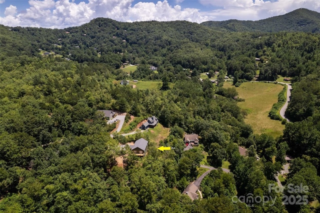 288 Blue Cedar Rd Unit 9, Sylva, NC 28779 - photo 41