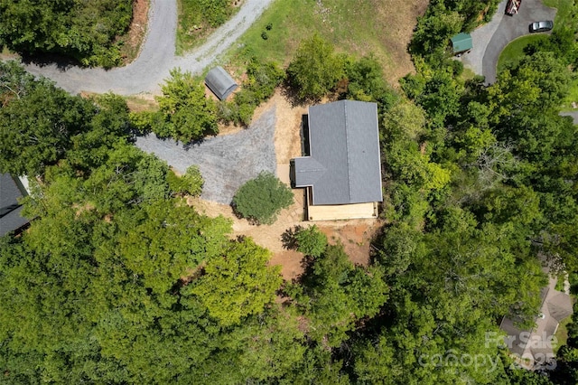 288 Blue Cedar Rd Unit 9, Sylva, NC 28779 - photo 42