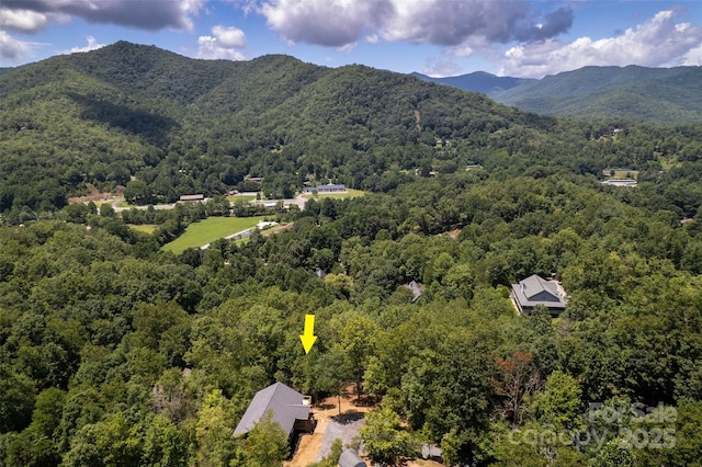 288 Blue Cedar Rd Unit 9, Sylva, NC 28779 - photo 43