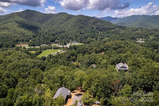 288 Blue Cedar Rd Unit 9, Sylva, NC 28779 - photo 44