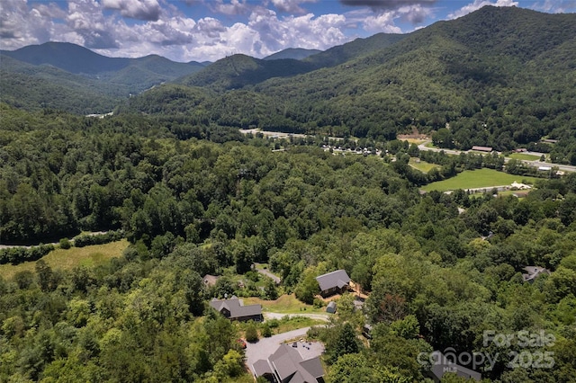 288 Blue Cedar Rd Unit 9, Sylva, NC 28779 - photo 46